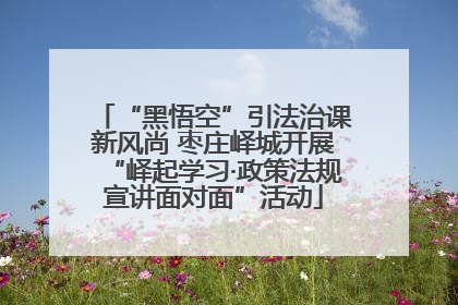 “黑悟空”引法治课新风尚 枣庄峄城开展“峄起学习·政策法规宣讲面对面”活动