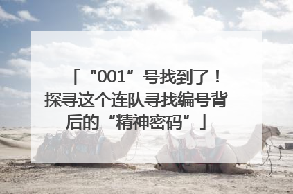 “001”号找到了！探寻这个连队寻找编号背后的“精神密码”