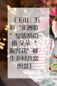 玉山：五彩“非洲菊”绽放横街镇 朵朵“振兴花”催生乡村共富图景