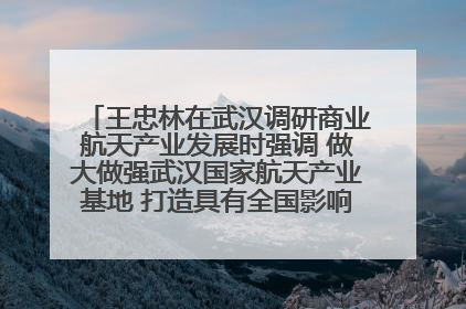 王忠林在武汉调研商业航天产业发展时强调 做大做强武汉国家航天产业基地 打造具有全国影响力的“中国星谷”
