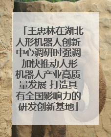 王忠林在湖北人形机器人创新中心调研时强调 加快推动人形机器人产业高质量发展 打造具有全国影响力的研发创新基地
