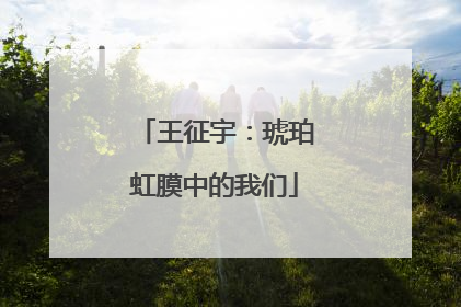 王征宇：琥珀虹膜中的我们