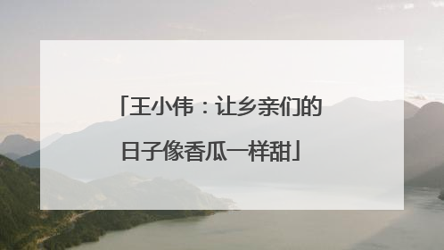 王小伟：让乡亲们的日子像香瓜一样甜