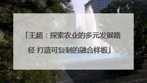 王超：探索农业的多元发展路径 打造可复制的融合样板