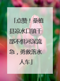 点赞！桑植县凉水口镇干部不惧河深流急，勇救落水人车