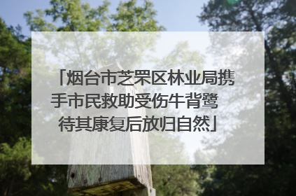 烟台市芝罘区林业局携手市民救助受伤牛背鹭 待其康复后放归自然