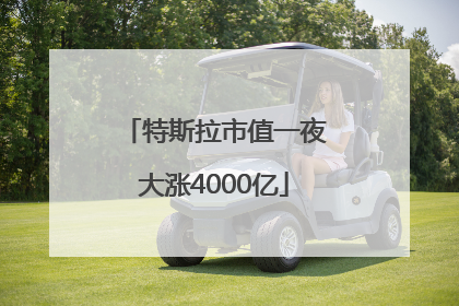特斯拉市值一夜大涨4000亿