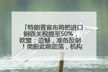 特朗普宣布将把进口钢铁关税提至50%，欧盟：遗憾，准备反制！美股此前震荡，机构：美元正进入熊市