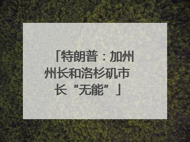 特朗普：加州州长和洛杉矶市长“无能”