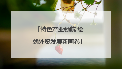 特色产业领航 绘就外贸发展新画卷