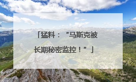 猛料：“马斯克被长期秘密监控！”