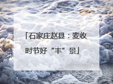 石家庄赵县：麦收时节好“丰”景