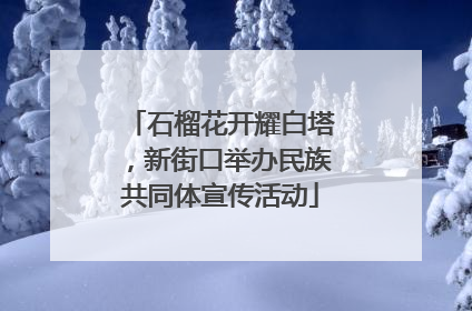 石榴花开耀白塔，新街口举办民族共同体宣传活动