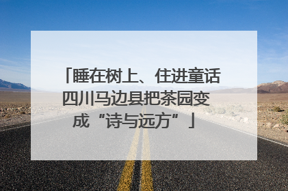 睡在树上、住进童话 四川马边县把茶园变成“诗与远方”