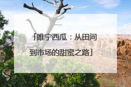 睢宁西瓜：从田间到市场的甜蜜之路