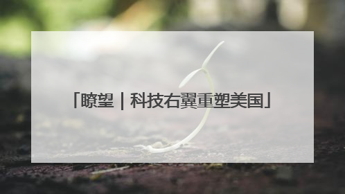 瞭望｜科技右翼重塑美国
