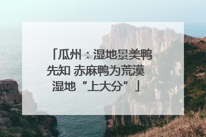 瓜州：湿地景美鸭先知 赤麻鸭为荒漠湿地“上大分”