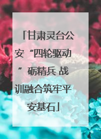 甘肃灵台公安“四轮驱动”砺精兵 战训融合筑牢平安基石