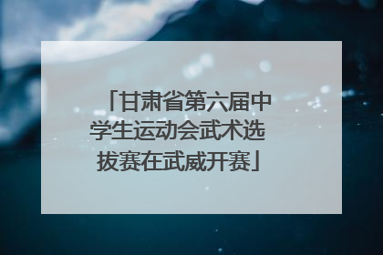 甘肃省第六届中学生运动会武术选拔赛在武威开赛