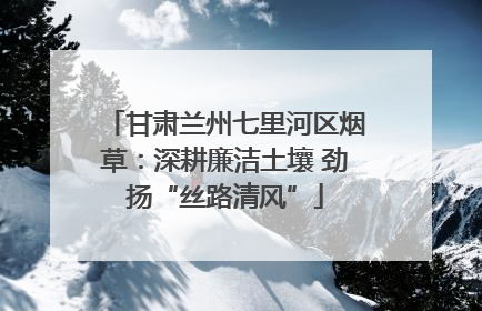 甘肃兰州七里河区烟草：深耕廉洁土壤 劲扬“丝路清风”