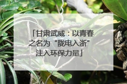 甘肃武威：以青春之名为“陇电入浙”注入环保力量