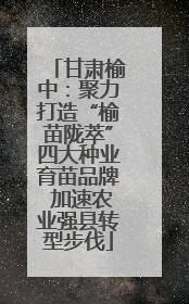 甘肃榆中：聚力打造“榆苗陇萃”四大种业育苗品牌 加速农业强县转型步伐