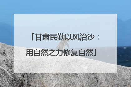 甘肃民勤以风治沙：用自然之力修复自然