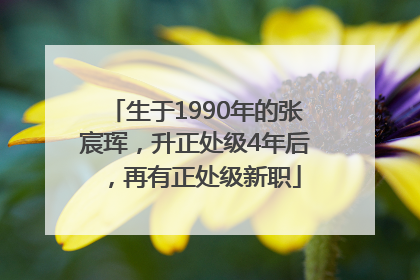 生于1990年的张宸珲，升正处级4年后，再有正处级新职