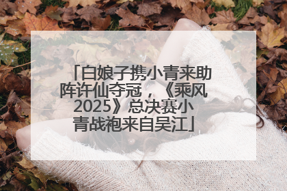 白娘子携小青来助阵许仙夺冠，《乘风2025》总决赛小青战袍来自吴江