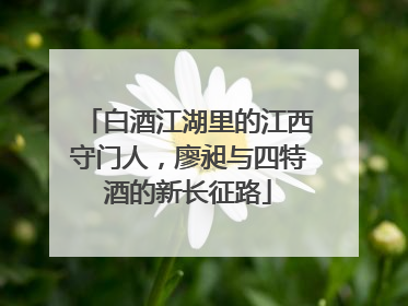 白酒江湖里的江西守门人，廖昶与四特酒的新长征路