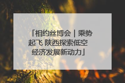 相约丝博会｜乘势起飞 陕西探索低空经济发展新动力