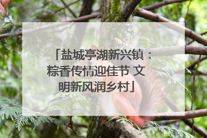 盐城亭湖新兴镇：粽香传情迎佳节 文明新风润乡村