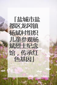 盐城市盐都区龙冈镇杨斌村组织儿童参观杨斌烈士纪念馆，传承红色基因