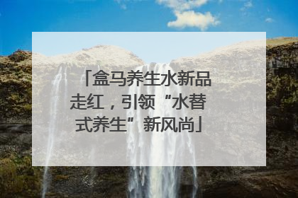 盒马养生水新品走红，引领“水替式养生”新风尚