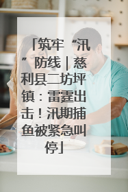 筑牢“汛”防线｜慈利县二坊坪镇：雷霆出击！汛期捕鱼被紧急叫停
