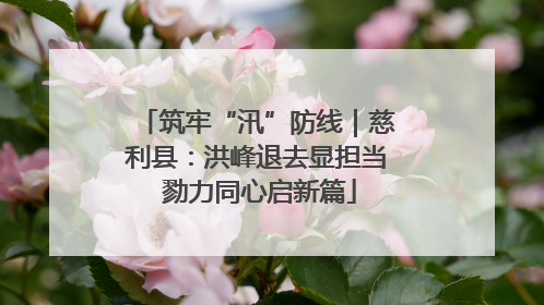 筑牢“汛”防线｜慈利县：洪峰退去显担当 勠力同心启新篇