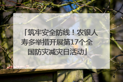 筑牢安全防线！农银人寿多举措开展第17个全国防灾减灾日活动