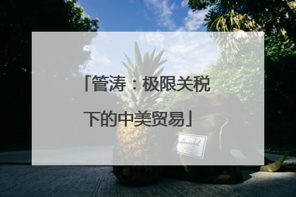 管涛：极限关税下的中美贸易