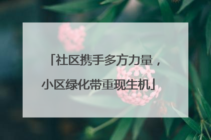 社区携手多方力量，小区绿化带重现生机