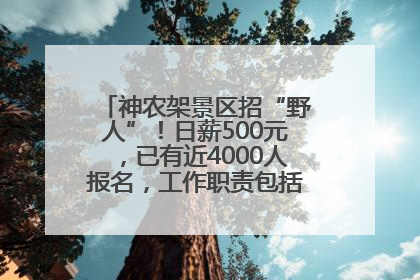神农架景区招“野人”！日薪500元，已有近4000人报名，工作职责包括“接受游客投喂”
