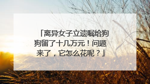 离异女子立遗嘱给狗狗留了十几万元！问题来了，它怎么花呢？