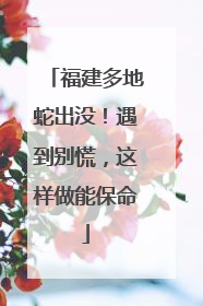 福建多地蛇出没！遇到别慌，这样做能保命