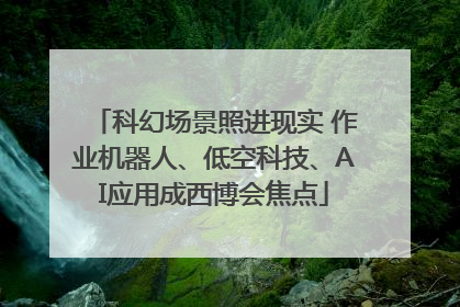 科幻场景照进现实 作业机器人、低空科技、AI应用成西博会焦点