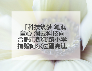 科技筑梦 笔润童心 淘云科技向合肥市郎溪路小学捐赠阿尔法蛋高速词典笔