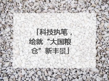 科技执笔，绘就“大国粮仓”新丰景