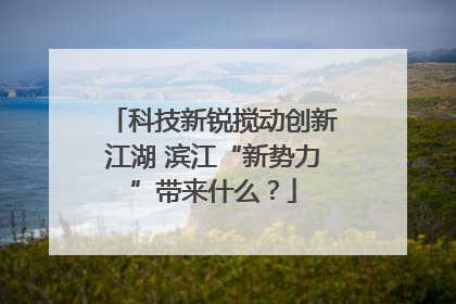 科技新锐搅动创新江湖 滨江“新势力”带来什么？