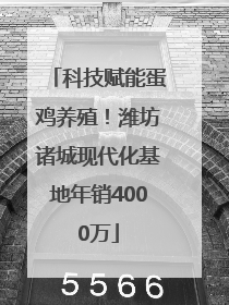 科技赋能蛋鸡养殖！潍坊诸城现代化基地年销4000万