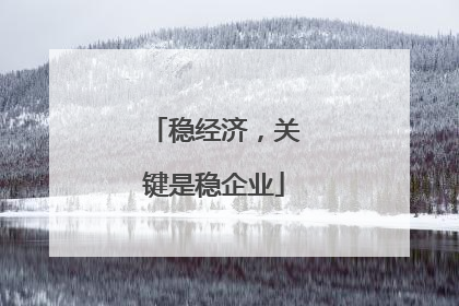 稳经济，关键是稳企业