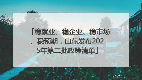 稳就业、稳企业、稳市场、稳预期，山东发布2025年第二批政策清单