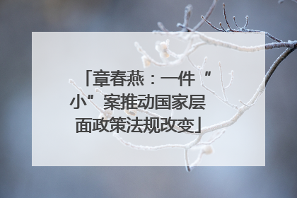 章春燕：一件“小”案推动国家层面政策法规改变